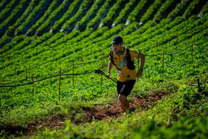 BIB: 
                            <button type="button" onclick="openModal(19161043)" class="btn btn-primary btn-sm float-right btn-popup" data-toggle="modal" data-target=".modal-high-quality">
                        <i class="fas fa-shopping-cart"></i> Add to Cart
                    </button>
                                            <button type="button" onclick="isThisMe(19161043, true)" class="btn btn-success btn-sm float-right btn-popup btn-isme hidden" data-toggle="tooltip" data-placement="bottom" title="นี่คือรูปของคุณใช่ไหม คลิกที่นี่เพื่อเอาเข้าอัลบั้ม">
                        <i class="fas fa-plus"></i> Add to album
                    </button>
                    <button type="button" onclick="isThisMe(19161043, false)" class="btn btn-warning btn-sm float-right btn-popup btn-isnotme hidden">
                        <i class="fas fa-ban"></i> Remove from album
                    </button>